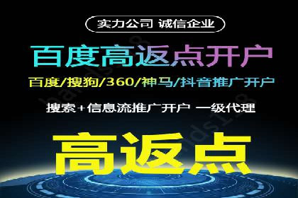 某行业sem竞价托管成功案例：精准投放的秘诀